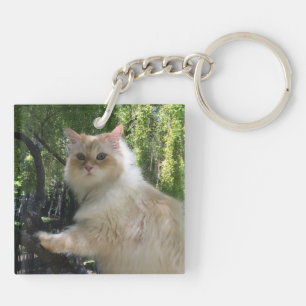 Porte-clés Chat sibérien de forêt (le double a dégrossi)