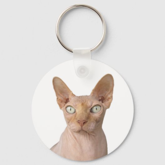 Porte-clés Chat Sphynx (Recto)