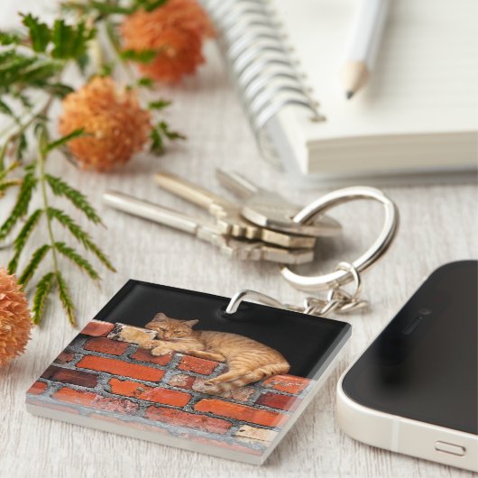 Porte-clés Chat sur mur de brique (Devant Droit)