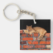 Porte-clés Chat sur mur de brique (Devant)