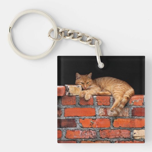 Porte-clés Chat sur mur de briques (Devant)