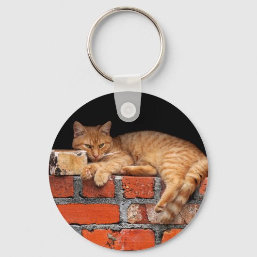 Porte-clés Chat sur Porte - clé de mur de briques (Recto)