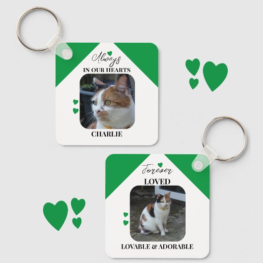 Porte-clés Chat Sympathy Keepsaké Pet Memorial vert