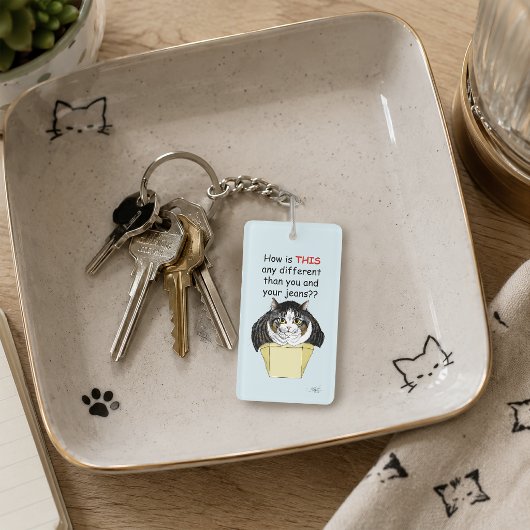 Porte-clés Chat Tabby Gros et Drôle Boîte