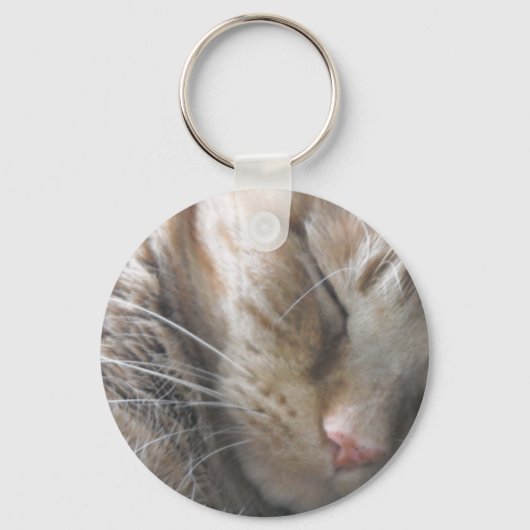 Porte-clés Chat Tabby Orange (Recto)