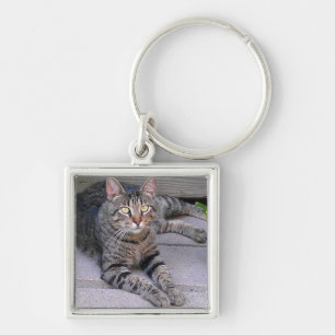 Porte-clés Chat tigré Brown dehors