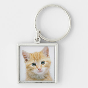 Porte-clés Chat tigré d'orange douce