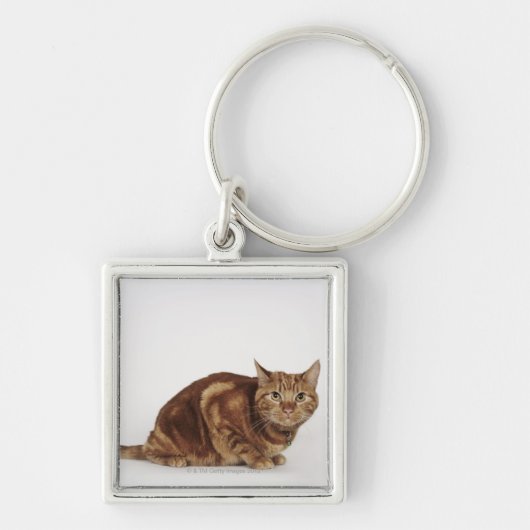 Porte-clés Chat tigré orange (Devant)