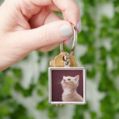 Porte-clés Chaton avec des favoris (main)