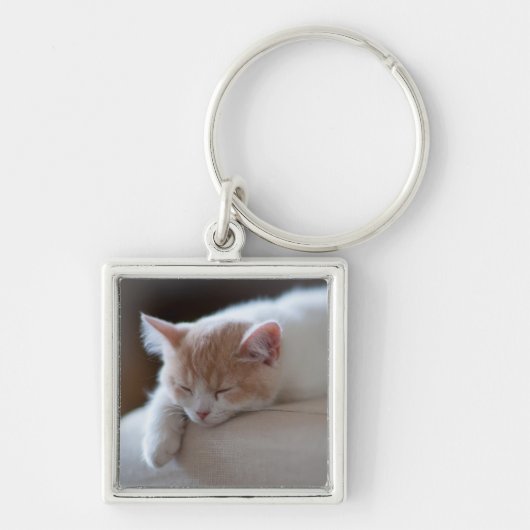 Porte-clés Chaton beige et blanc fatigué (Devant)