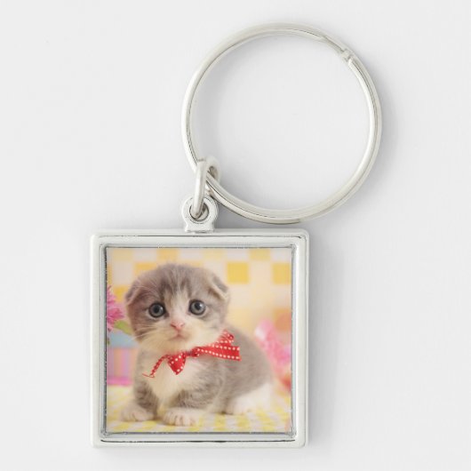 Porte-clés Chaton de Munchkin (Devant)