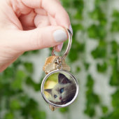 Porte-clés Chaton de Ragdoll (main)