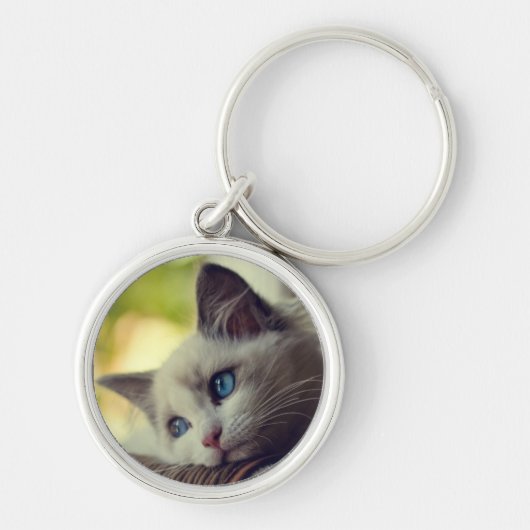 Porte-clés Chaton de Ragdoll (Devant)