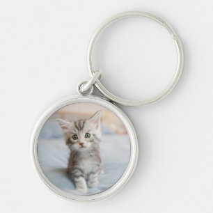 Porte-clés Chaton de ragondin du Maine