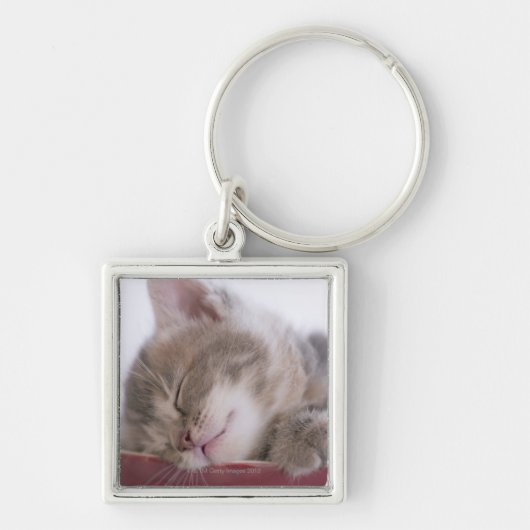 Porte-clés Chaton dormant dans la cuvette 2 (Devant)