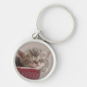 Porte-clés Chaton dormant dans une cuvette