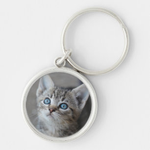 Porte-clés Chaton mignon dans le jardin