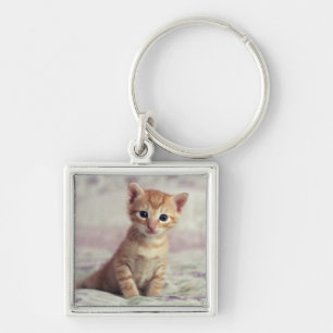 Porte-clés Chaton minuscule de gingembre