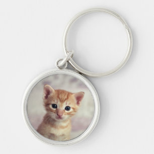 Porte-clés Chaton minuscule de gingembre