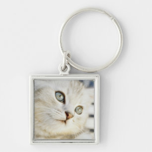 Porte-clés Chaton, plan rapproché 2
