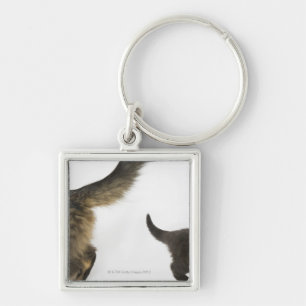 Porte-clés Chaton regardant la queue de sa mère