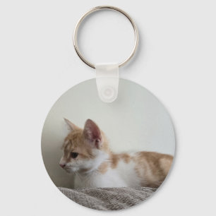 Porte-clés Chaton roux et blanc