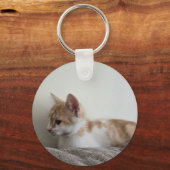 Porte-clés Chaton roux et blanc (Recto)