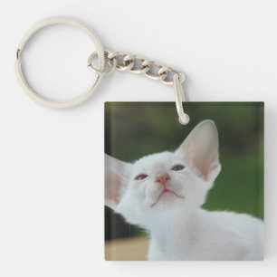Porte-clés Chaton siamois blanc
