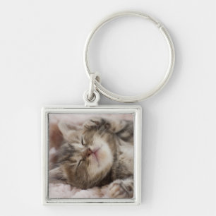 Porte-clés Chaton somnolent