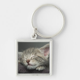 Porte-clés Chaton somnolent