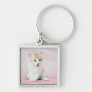 Porte-clés Chaton sur l'arrière - plan rose