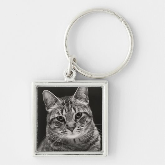 Porte-clés Chaton tigré noir (Devant)