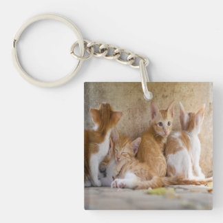 Porte-clés Chaton tigré orange et blanc/Ajoutez la photo de v