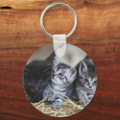 Porte-clés Chatons, Animal de compagnie, Félins (Verso)