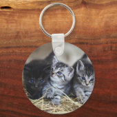 Porte-clés Chatons, Animal de compagnie, Félins (Recto)