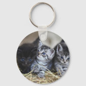 Porte-clés Chatons, Animal de compagnie, Félins (Verso)