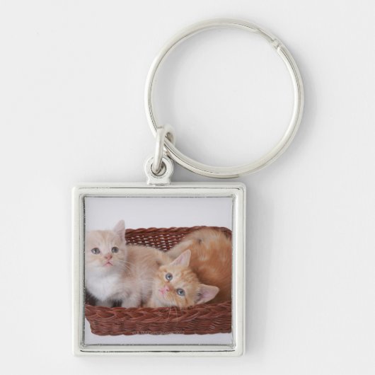 Porte-clés Chatons dans le panier (Devant)