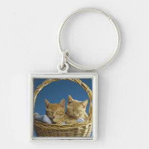 Porte-clés Chatons dormant dans le panier
