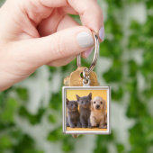 Porte-clés Chatons et chiots bleus russes de teckel (main)