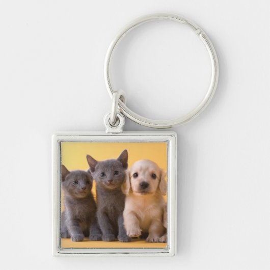 Porte-clés Chatons et chiots bleus russes de teckel (Devant)