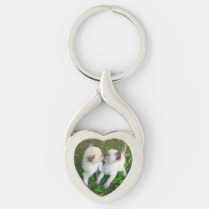 Porte-clés Chatons qui s'embrassent