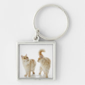 Porte-clés Chats de Munchkin (Devant)