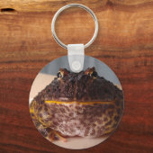 Porte-clés Chaux la grenouille (Recto)