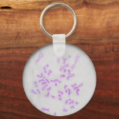 Porte-clés Chaveiro Cromossomos (Recto)