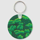 Porte-clés Chaveiro cromossomos (Recto)