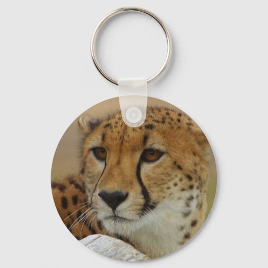 Porte-clés Cheetah (Recto)