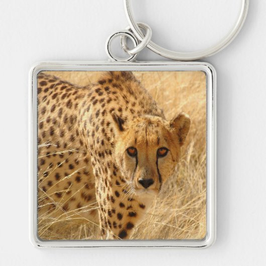 Porte-clés Cheetah (Devant)