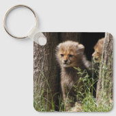 Porte-clés Cheetah 005 (Recto)