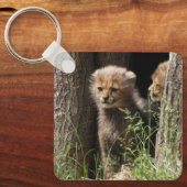 Porte-clés Cheetah 005 (Recto)