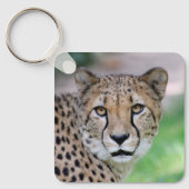 Porte-clés Cheetah 009 (Recto)